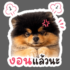 Littlebabai Ver 1