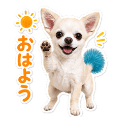 kiyohashi2