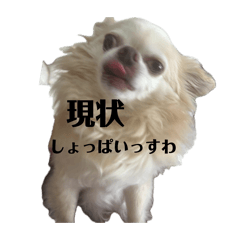 maguromaguro_20260502114405