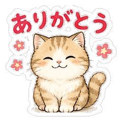 brown cat mariru