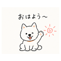 shiba Daily Chat Stickers