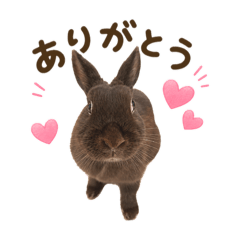 oshiruko_20260502124033