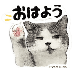 Conyan_20260503003158