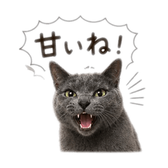 MofumofuWorks_20260503004018