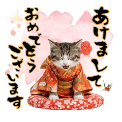 CAT  GOOD  Sticker125