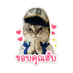 Aoom_20260428113219