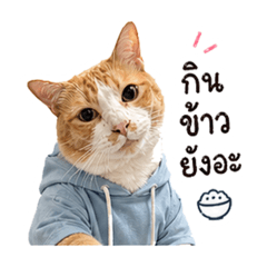BeemOo_20260430154850