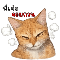 Brother Jeo the troublemaker