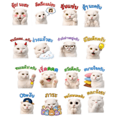 Meow Pun & Khao Family