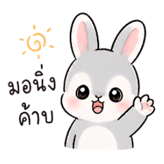 Little Bunny Daily