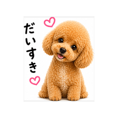 Shy Toy Poodle Photo Stickers vol.2