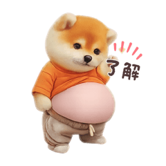 oimo_20260502133814
