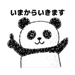 nicacchi_20260502133602