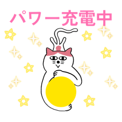 run_run13_20260503010206