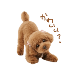 kyon_20260503005315