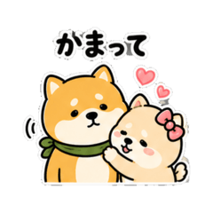 JIA DONGDONG_20260503010301