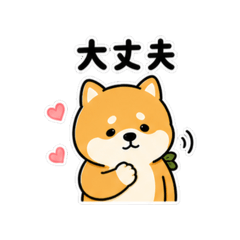 JIA DONGDONG_20260503011355