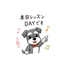 Schnauzer Music Lesson Stickers