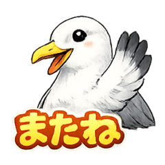 CHAO_20260502134338