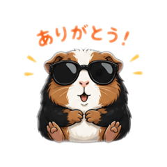 tomo_1217_20260502140603