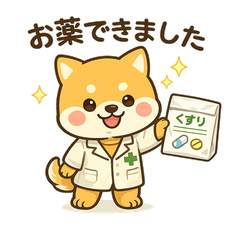Shiba Pharmacist Returns