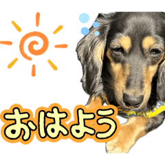Chanan_20260503012438
