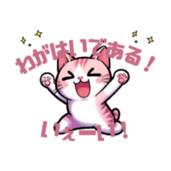 Kawaii meow cats