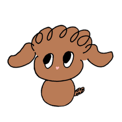 toy poodle - toppy