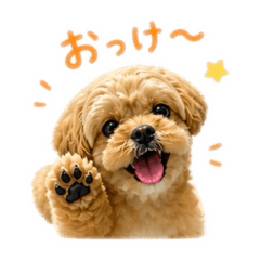 omochi_20260503012918