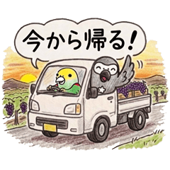 Parrot sticker ver.03