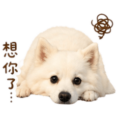 Money表情包2