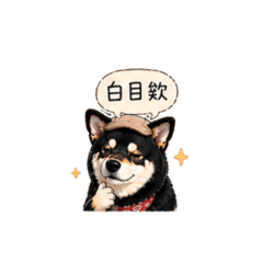 黑嚕嚕嘴砲日常～～✨✨