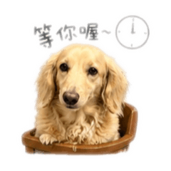 我是咚咚呀