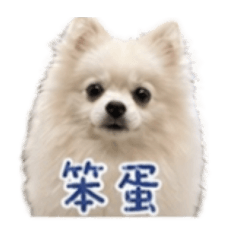 娜比的每一天Part2