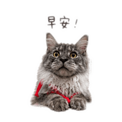 炭吉日記1