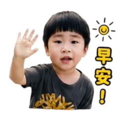 AI宥廷工作用語