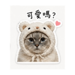 Kube,Kuma,Kuna