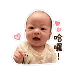 奶黃包萌娃日記_1