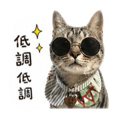 多多是一隻貓