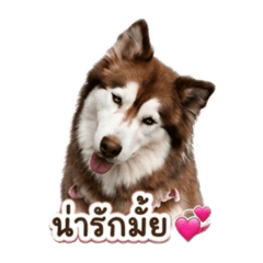 Nanajung_20260428114303
