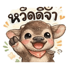 Huglii_kaki surin