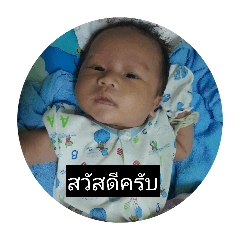 Tam_20260428114322