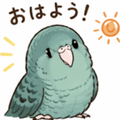 Chat Stickers Daily