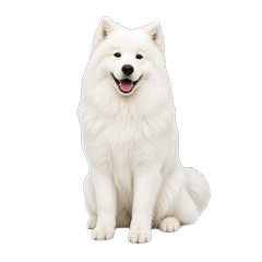 Realistic Samoyed