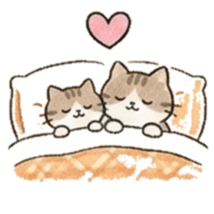 Soft & Fluffy Cat Family4