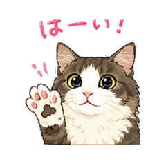 Hayashi Cat Stickers Vol.3
