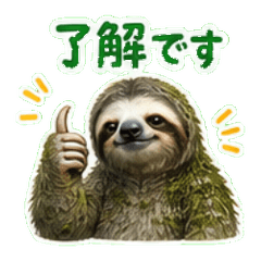 Laid-back Sloth
