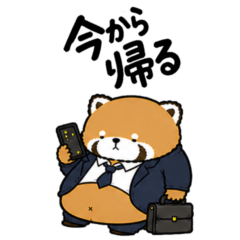 Lazy Red Panda Dad