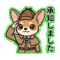 Tiny Detective Chihuahua