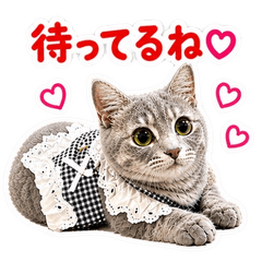 Kawaii Pets Daily